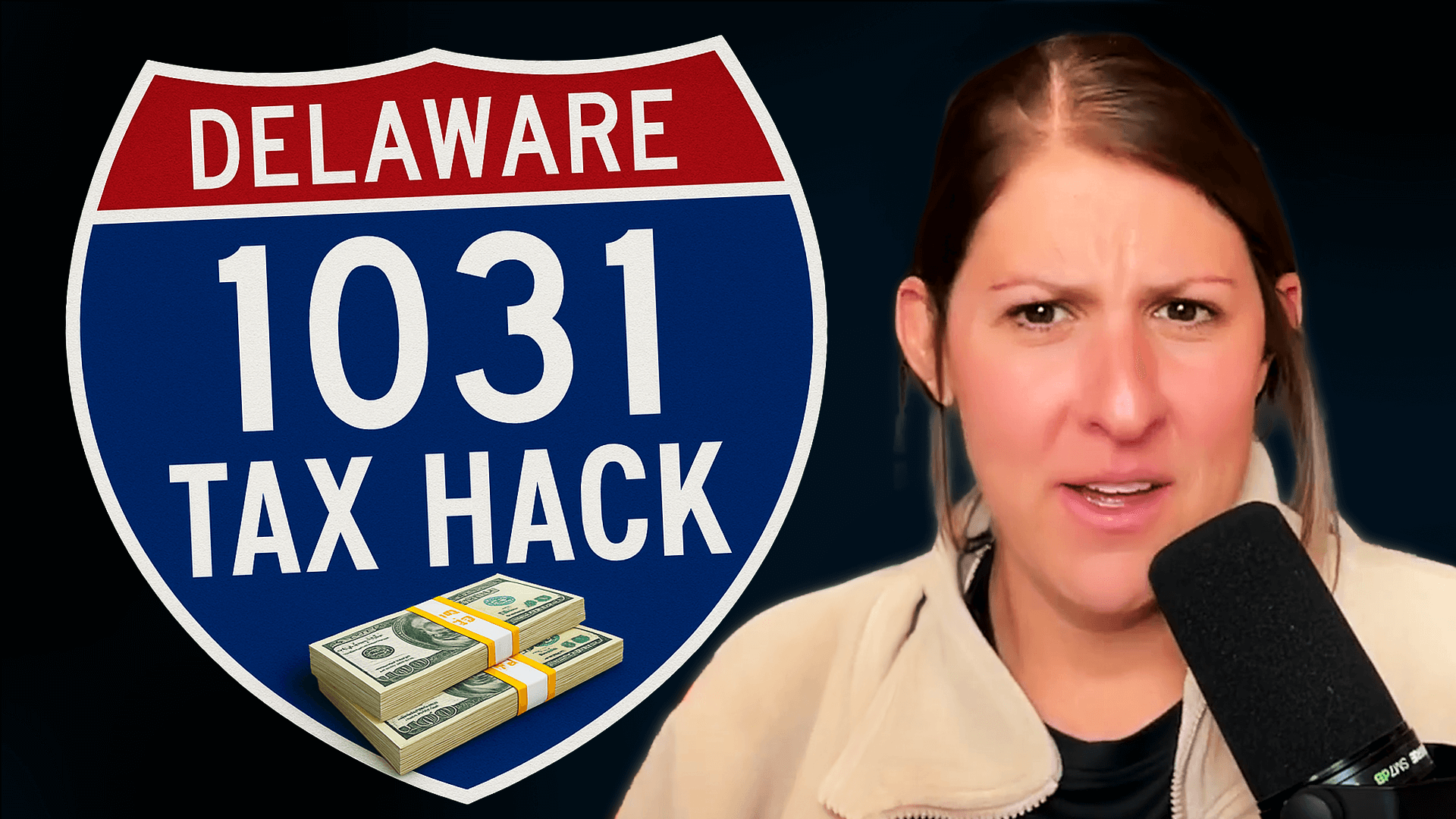 Delaware Statutory Trust